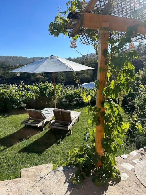 Lilly'S Finca - Romantischter Rueckzugsort - Pool Vilaflor Exterior foto