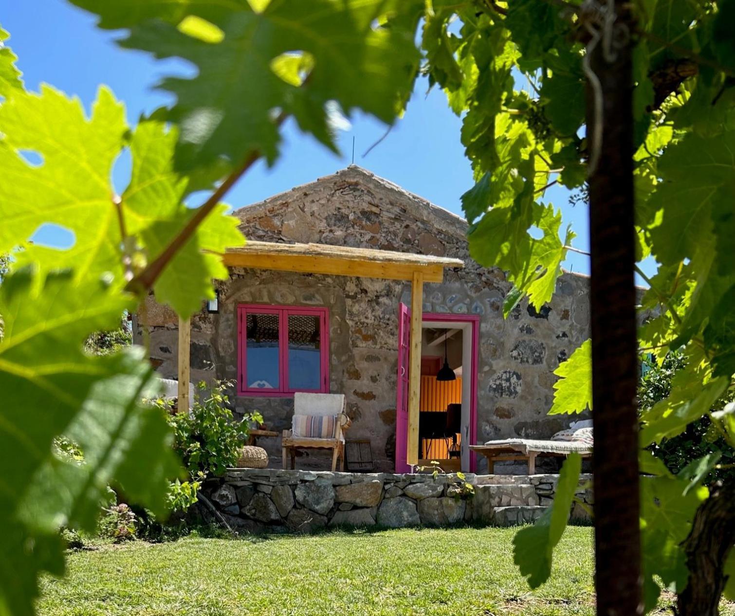 Lilly'S Finca - Romantischter Rueckzugsort - Pool Vilaflor Exterior foto